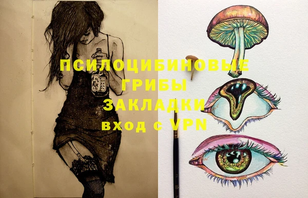 ECSTASY Волоколамск