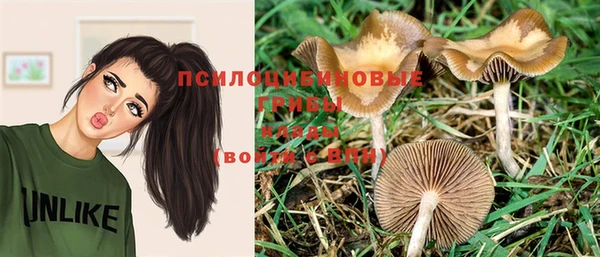 марки nbome Вяземский