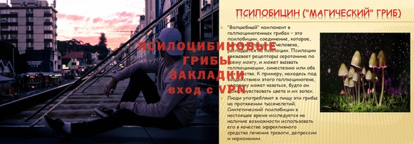ECSTASY Волоколамск