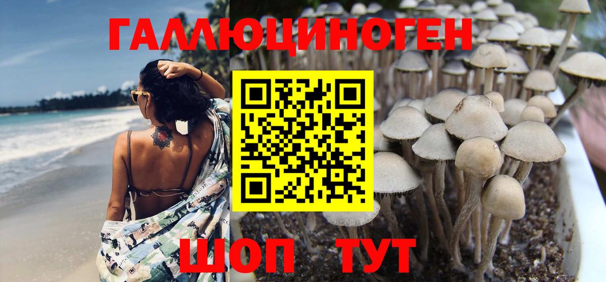 Мариинск  Галлюциногенные грибы Magic Shrooms  Вход с VPN 